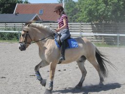 img_3274_web
